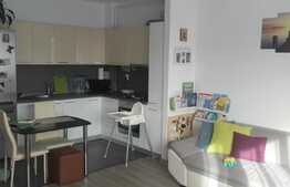 Apartament 2 camere, 48 mp utili, constructie 2016, parcare subterana, zona strazii Fabricii.