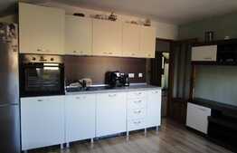 De vanzare casa individuala 160 mp, teren 640 mp, Exterior Nord