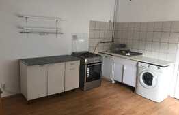Casa 2 camere, 80 mp, curte 30 mp, zona Salii Polivalente 