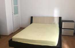 Casa 2 camere, 80 mp, curte 30 mp, zona Salii Polivalente 