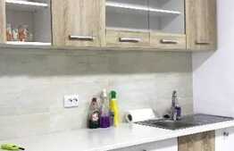 Apartament 2 camere decomandate, 60 mp, recent renovat, zona Parcul Babes