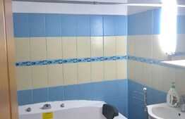 Apartament 2 camere, 40 mp, zona strazii Somesului!