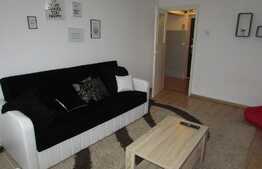 Apartament 2 camere decomandat, 48 mp, mobilat cochet, zona Calvaria