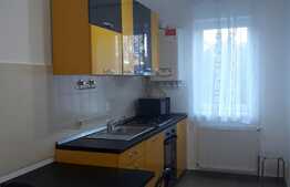 Apartament 2 camere, 55 mp, gradina, dressing, mobilat modern, zona Iulius Mall