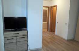 Apartament 2 camere, 55 mp, gradina, dressing, mobilat modern, zona Iulius Mall