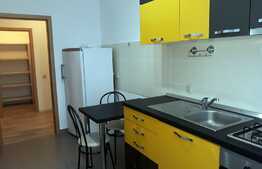 Apartament 2 camere, 55 mp, gradina, dressing, mobilat modern, zona Iulius Mall