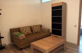 Apartament 2 camere, 55 mp, gradina, dressing, mobilat modern, zona Iulius Mall