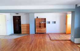 4 camere, 100 mp, semidecomandat, zona Podului Calvaria, pet friendly