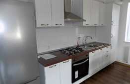 Apartament 2 camere, 56 mp, imobil nou, prima inchiriere, parcare subterana, zona strazii Corneliu Coposu