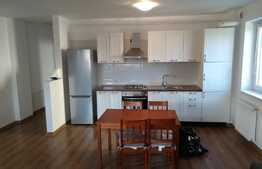 Apartament 2 camere, 55 mp, etaj intermediar, parcare subterana, zona strazii Corneliu Coposu!