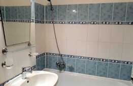 Garsoniera, 36 mp, Pet Friendly, zona Plopilor Vechi   