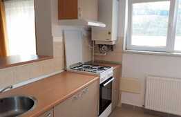 Garsoniera, 36 mp, Pet Friendly, zona Plopilor Vechi   