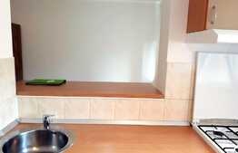 Garsoniera, 36 mp, Pet Friendly, zona Plopilor Vechi   