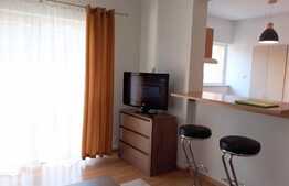 Garsoniera, 36 mp, Pet Friendly, zona Plopilor Vechi   