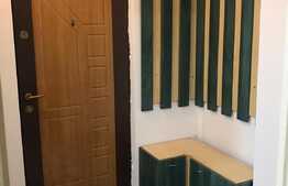 Apartament 2 camere, 40 mp, Pet Friendly, zona Mc Donalds