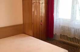Apartament 2 camere, 40 mp, Pet Friendly, zona Mc Donalds
