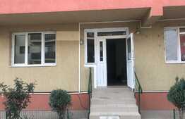 Spatiu de inchiriat, 47 mp, zona Terra