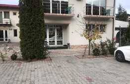 Spatiu comercial, 170 mp, terasa 40 mp, zona Gilau !