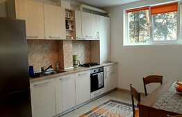 Apartament 2 camere, 57 mp, decomandat, mobilat modern, zona strazii Mircea Eliade