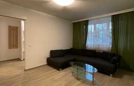 2 camere, 48 mp, Petfriendly, semidecomandat, zona Interservisan