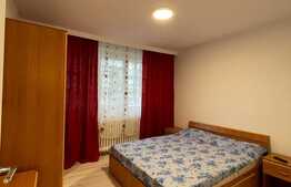 2 camere, 48 mp, Petfriendly, semidecomandat, zona Interservisan