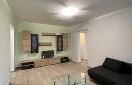 2 camere, 48 mp, Petfriendly, semidecomandat, zona Interservisan