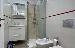 2 camere, 48 mp, Petfriendly, semidecomandat, zona Interservisan