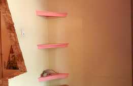 Apartament 2 camere, decomandat, 52 mp, zona Piata Flora 