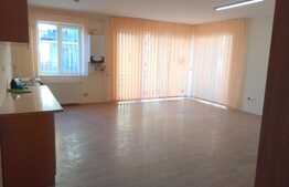 Apartament de inchiriat, 2 camere, parter, zona Florilor! Ideal pentru spatiu birouri!