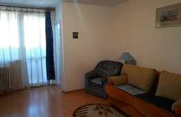 Garsoniera, 28 mp, zona strazii Grigore Alexandrescu