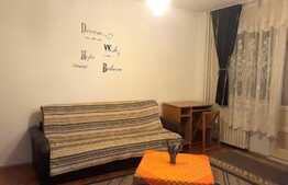 Apartament 1 camera, decomandat, terasa, 48 mp, zona strazii Observatorului