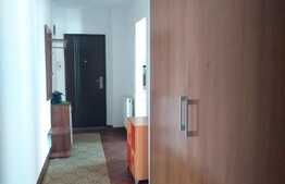 Apartament de inchiriat, 2 camere, 57 mp, zona Muzeul Apei!