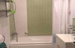 Apartament de inchiriat, 2 camere, 57 mp, zona Muzeul Apei!