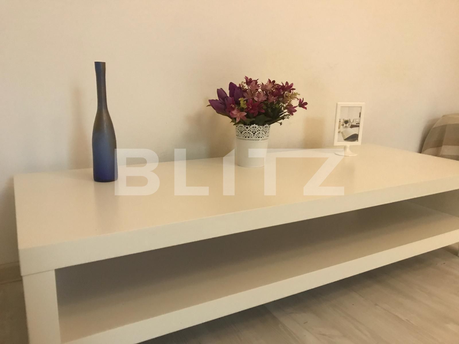 Casa de închiriat 1 camera Grigorescu - 35257CI | BLITZ Cluj-Napoca | Poza12