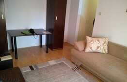 Garsoniera de inchiriat, 28 mp, mobilata modern, zona Calea Manastur