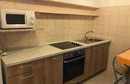 Apartament 2 camere, 50 mp, parcare, terasa 20 mp, zona UMF