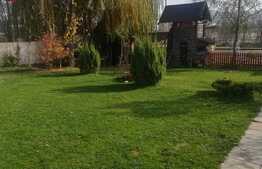 Imobil cu destinatii multiple, clinica, pensiune, SPA, birouri!