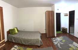 Apartament 1 camera, 46 mp, zona Hotel Panorama