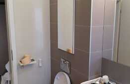 Apartament 2 camere, 55 mp, terasa, garaj, imobil nou, Complex Luminia