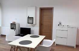 Apartament 2 camere, 50 mp, prima inchiriere, mobilat modern, garaj, zona strazii Aurel Vlaicu