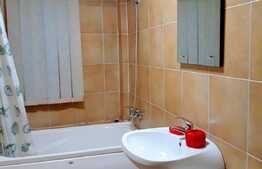 Apartament 2 camere, 50 mp, Pet Friendly, zona strazii Marginasa 