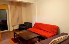 Apartament 2 camere, 50 mp, Pet Friendly, zona strazii Marginasa 
