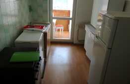 Garsoniera, 33 mp, decomandata, zona Piata Mihai Viteazu