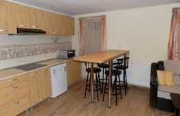 Apartament 1 camera, 50 mp, prima inchiriere, zona Ultracentrala