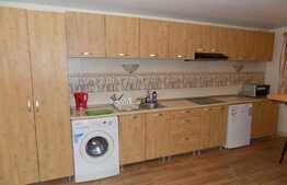 Apartament 1 camera, 50 mp, prima inchiriere, zona Ultracentrala