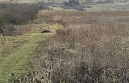 De vanzare teren intravilan, 3850 mp, INVESTITIE! zona Sopor