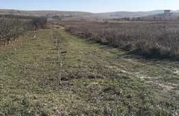 De vanzare teren intravilan, 3850 mp, INVESTITIE! zona Sopor