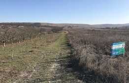 De vanzare teren intravilan, 3850 mp, INVESTITIE! zona Sopor