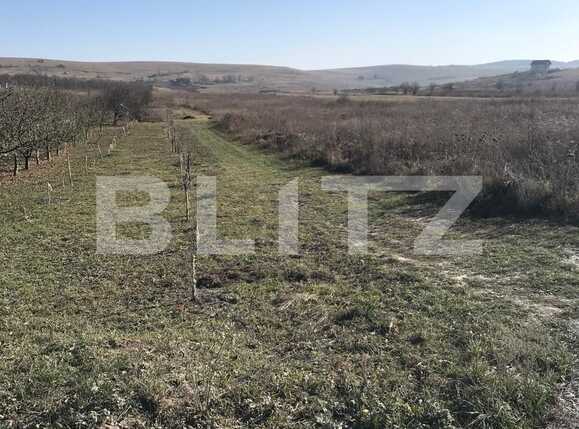 Teren de vânzare Sopor - 35376TV | BLITZ Cluj-Napoca | Poza5