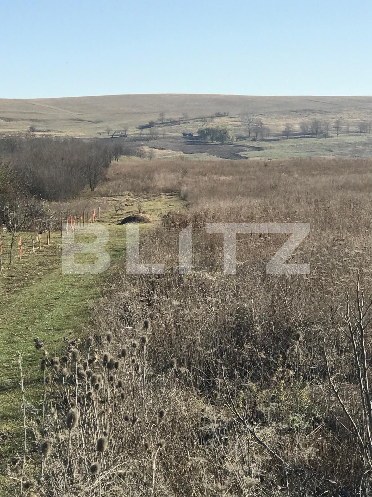 Teren de vânzare Sopor - 35376TV | BLITZ Cluj-Napoca | Poza8